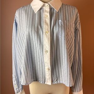 Ramy Brook Blue and White Striped Shirt